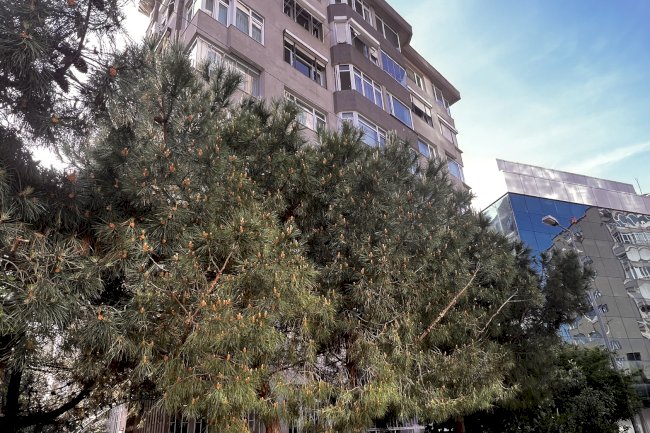 Bayındır Sokak  Erdem Apartmanı