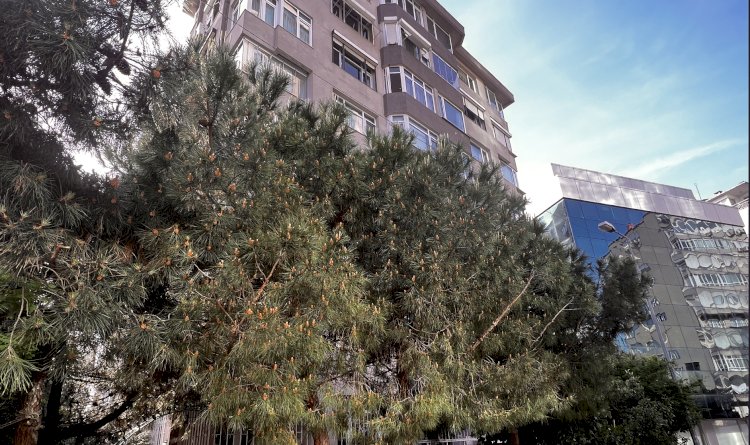 Bayındır Sokak Erdem Apartmanı